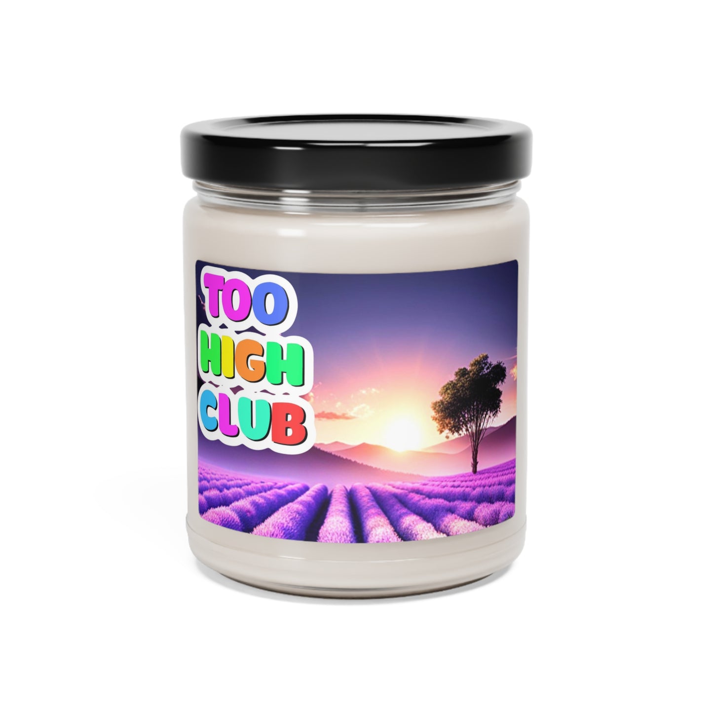 White Sage and Lavender Scented Soy Candle, 9oz