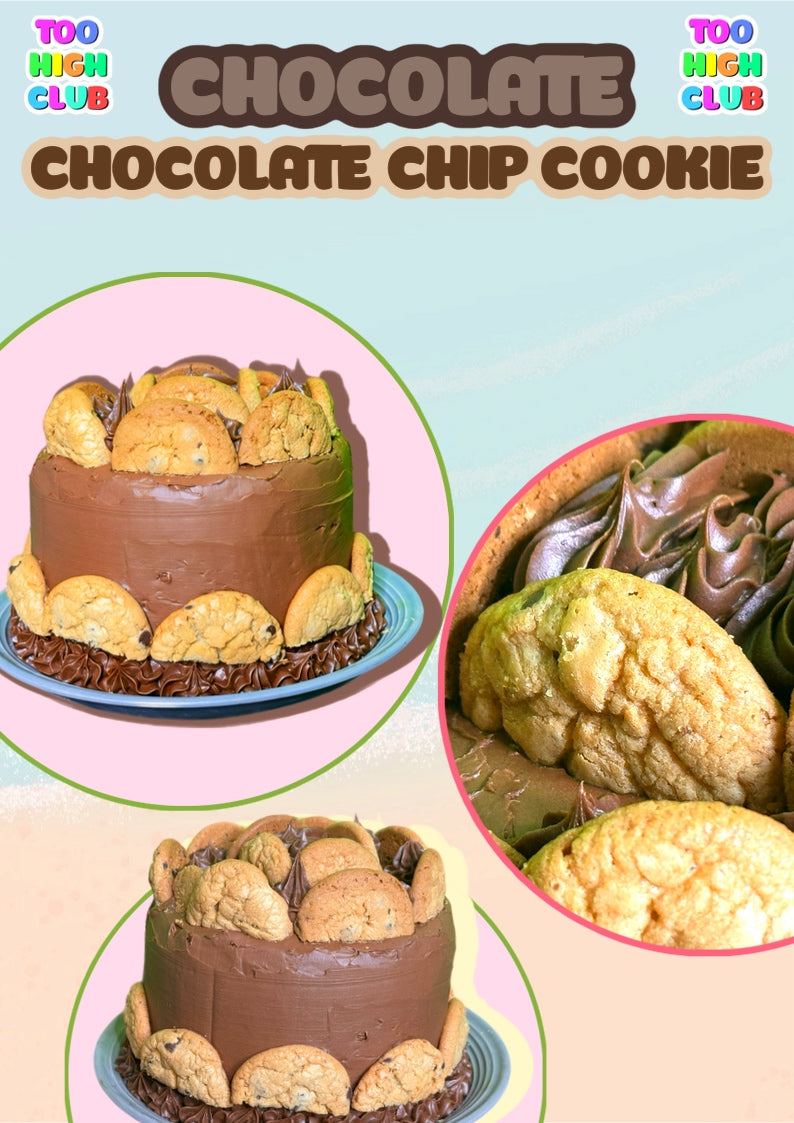 CHOCOLATE CHOCOLATE CHIP COOKIE CAKE